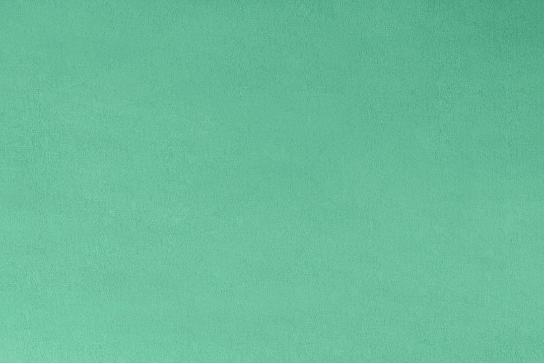 SPEARMINT - Minky Fabric