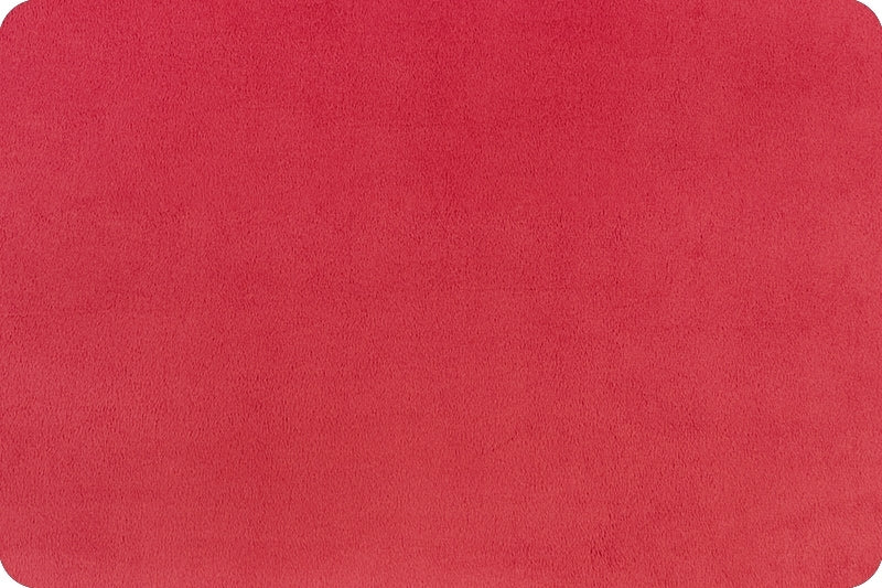 WATERMELON - Minky Fabric