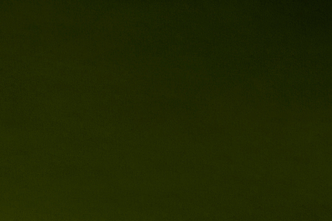 LODEN - Minky Fabric