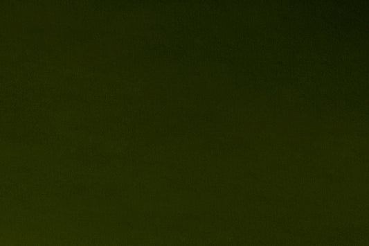 LODEN - Minky Fabric