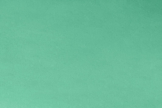 SPEARMINT - Minky Fabric